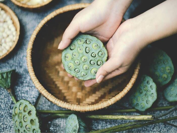 Địa Điểm Bán Trà Sen Sông Đầm Chất Lượng